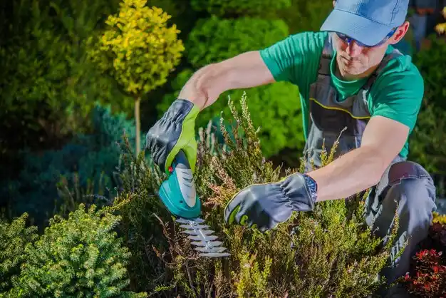 landscaping services Pleasant Valley